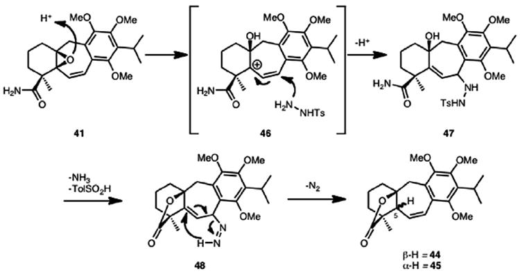 Scheme 13