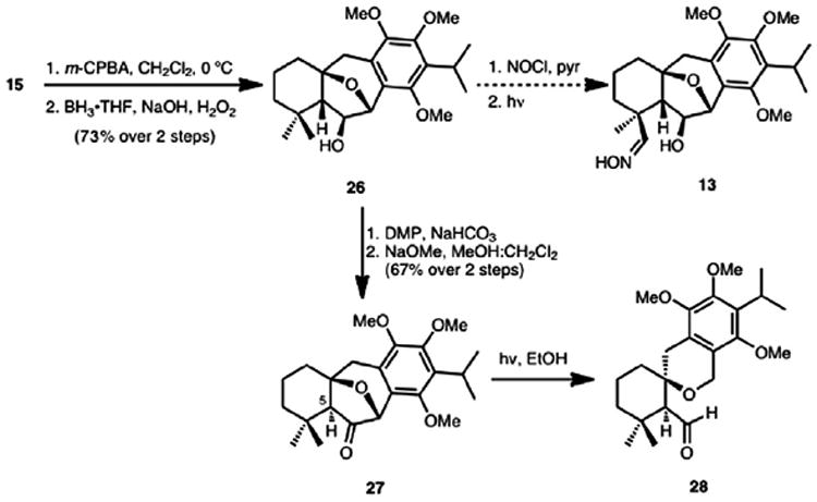 Scheme 6