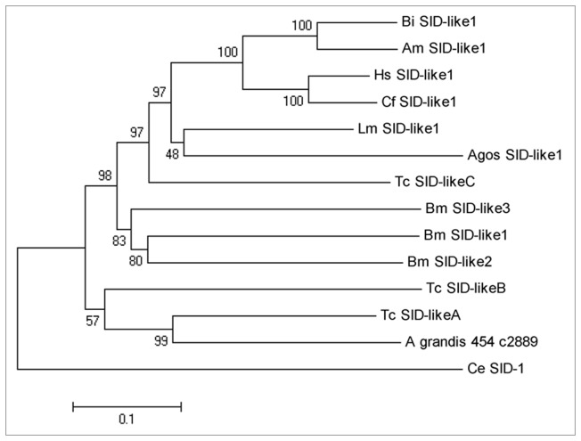 Figure 6