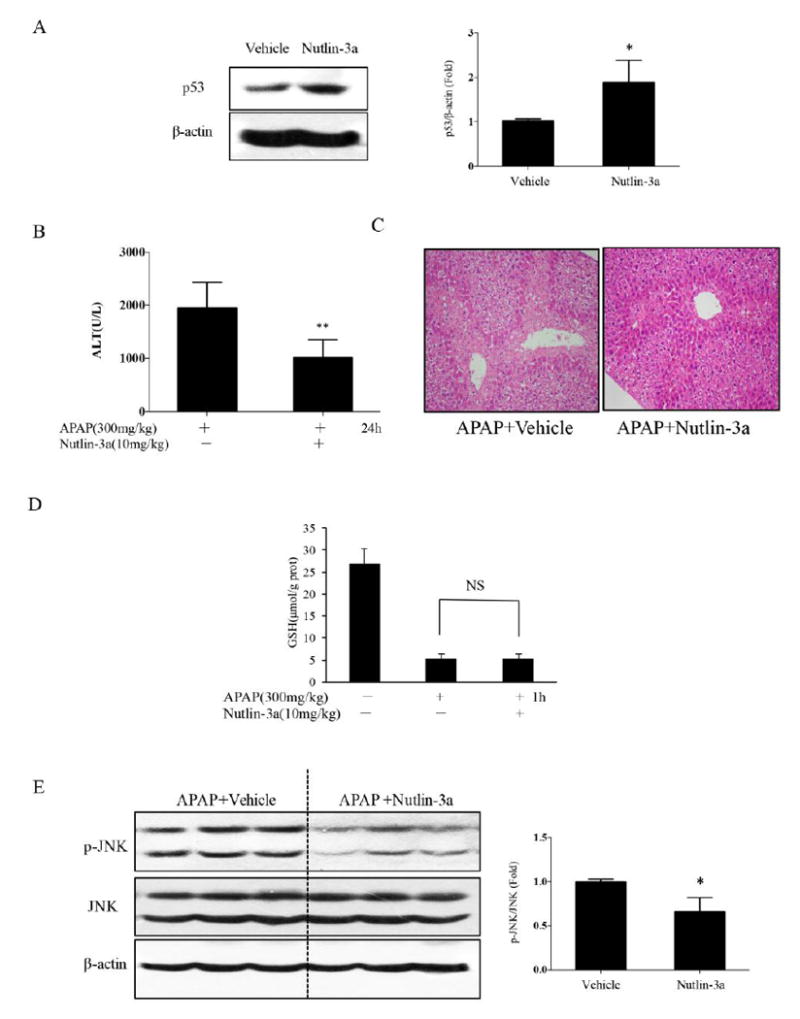 Fig.6