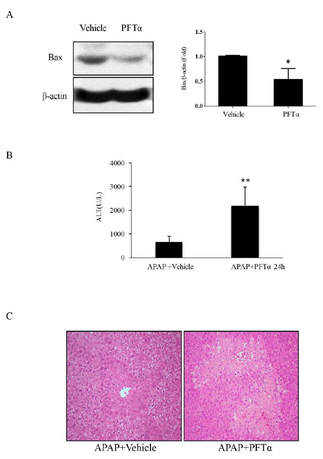 Fig.1