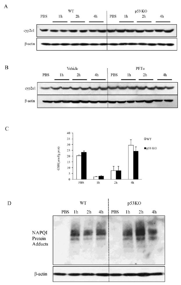 Fig.4