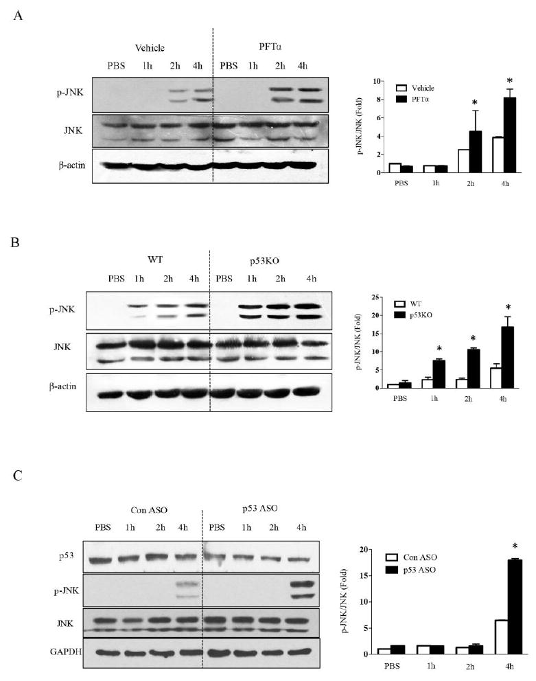 Fig.5