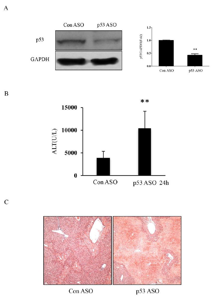 Fig.2