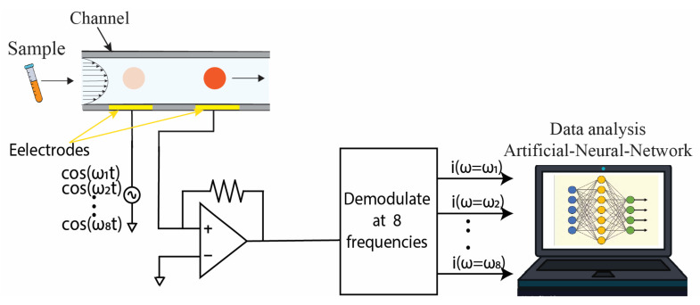 Figure 7