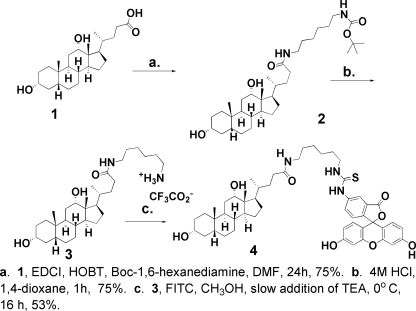 FIGURE 1.