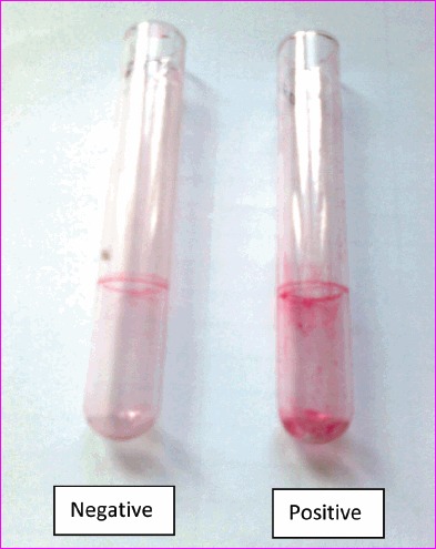 Table/Fig-1