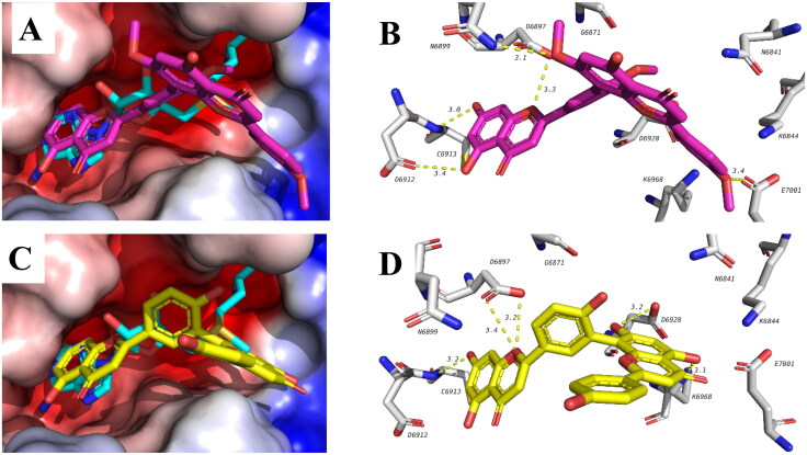 Figure 5.