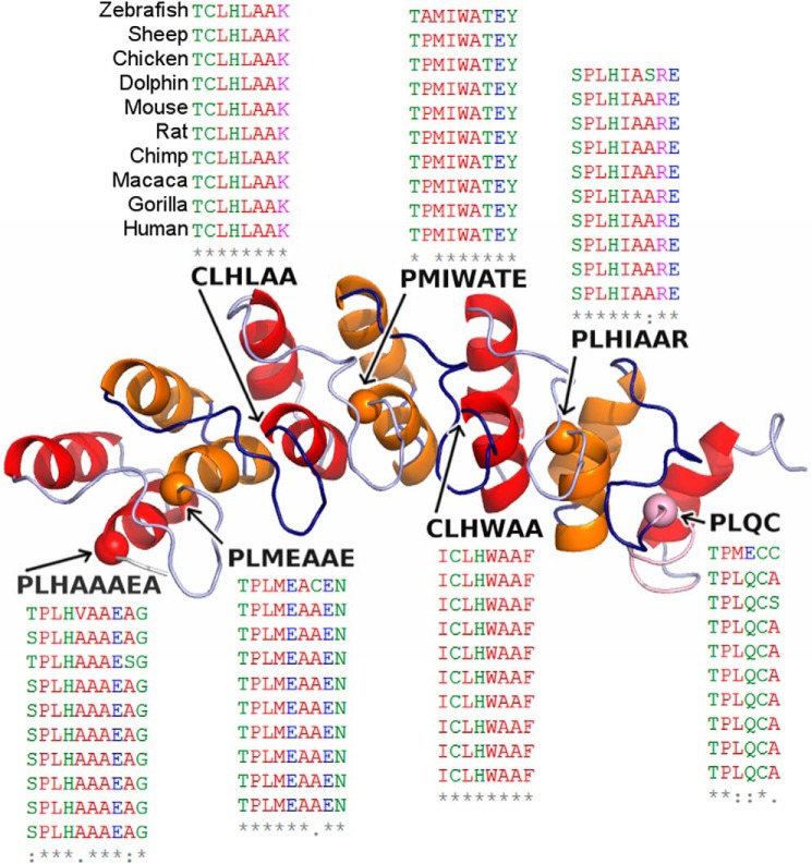 FIGURE 1.