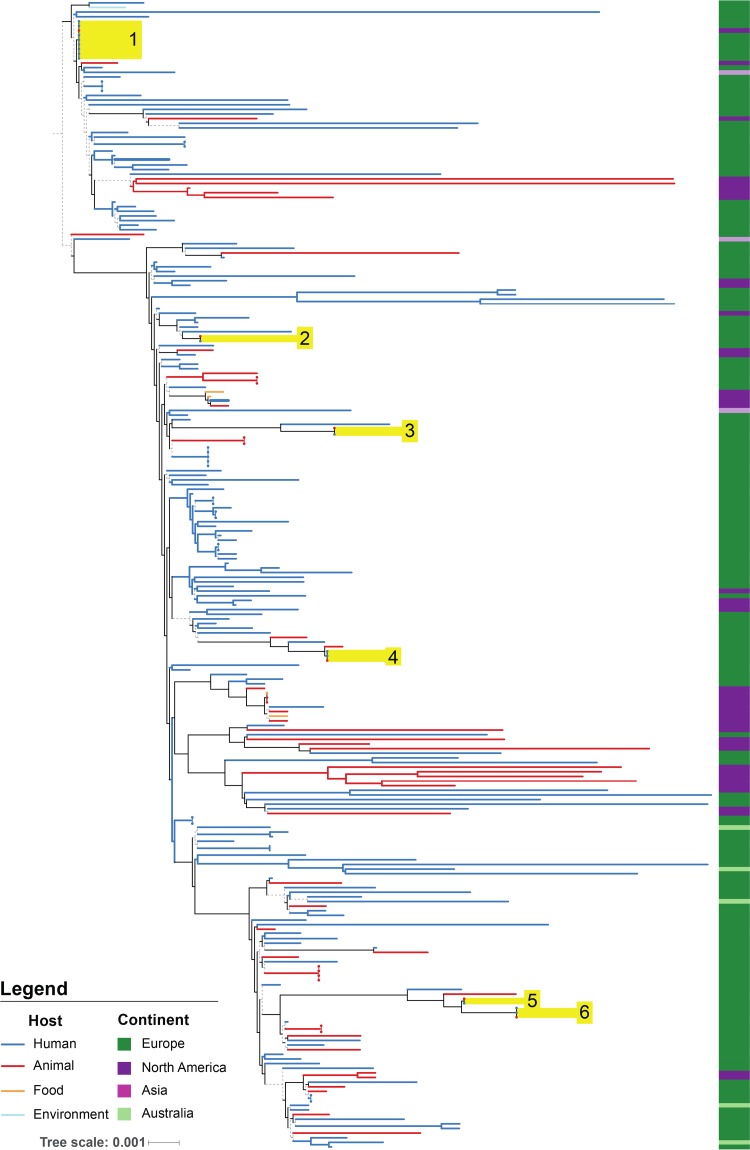 FIG 1