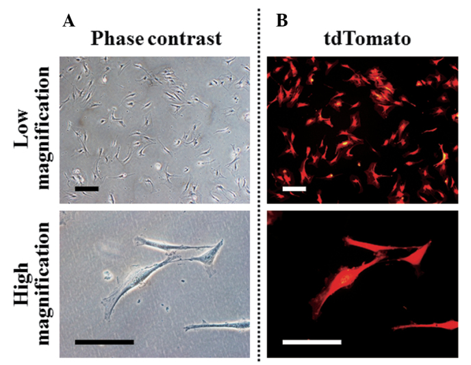 Figure 3.