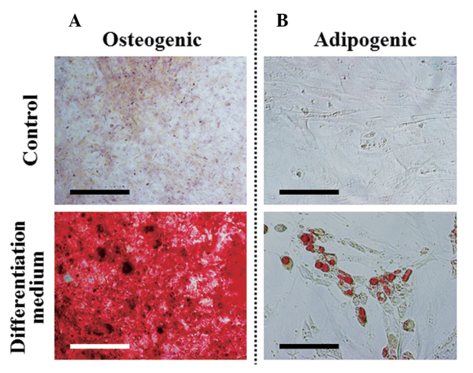 Figure 5.