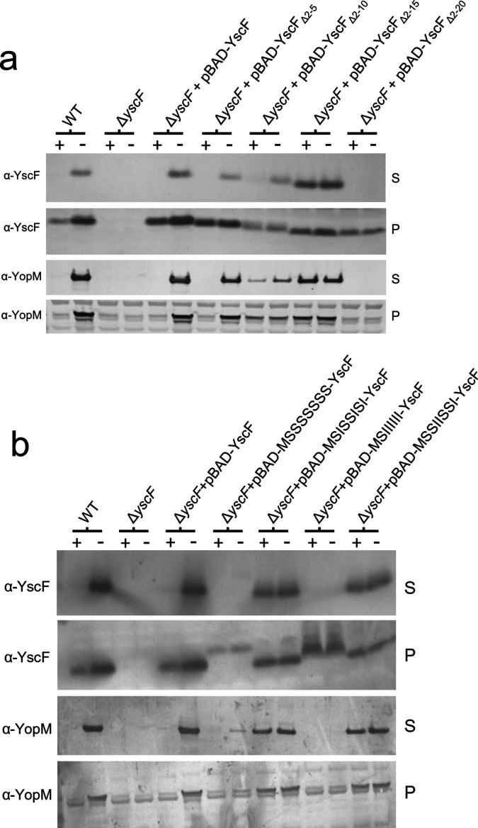 Fig. 5.