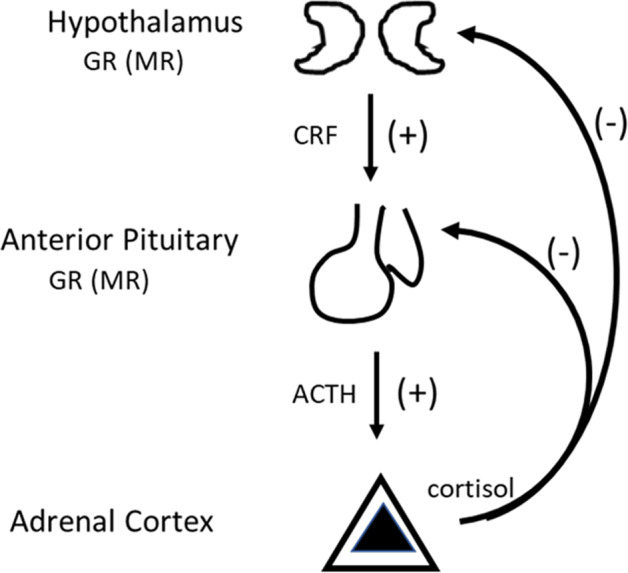 Fig. 5