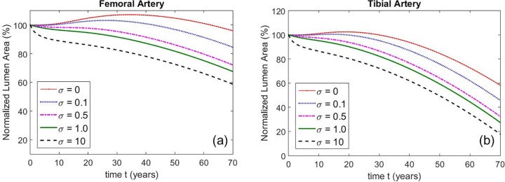 Fig 5