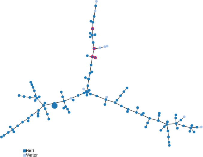 Fig. 3.