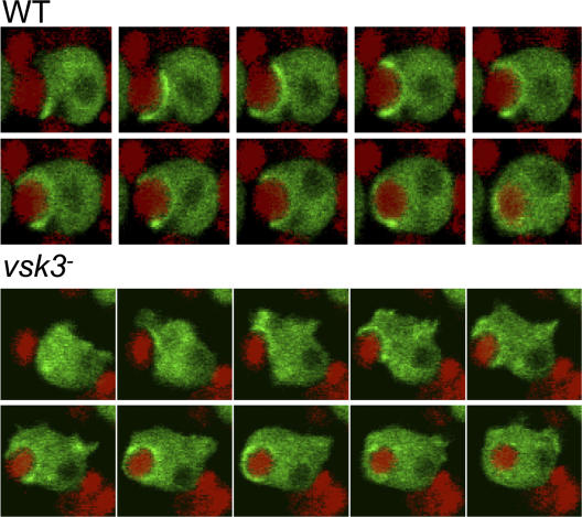 Figure 6.