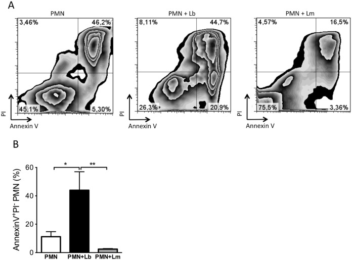 Fig 7