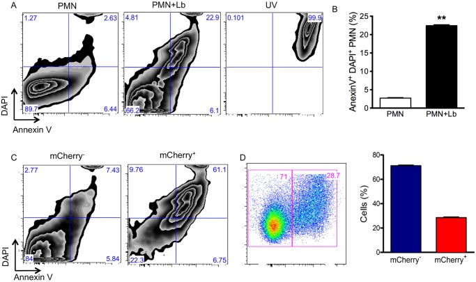 Fig 9