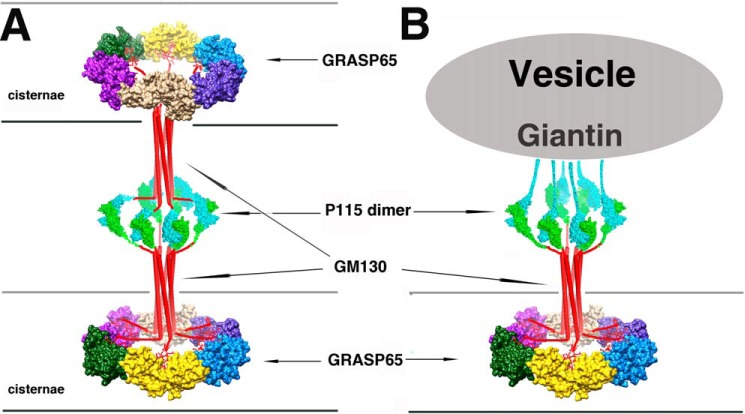 FIGURE 7.