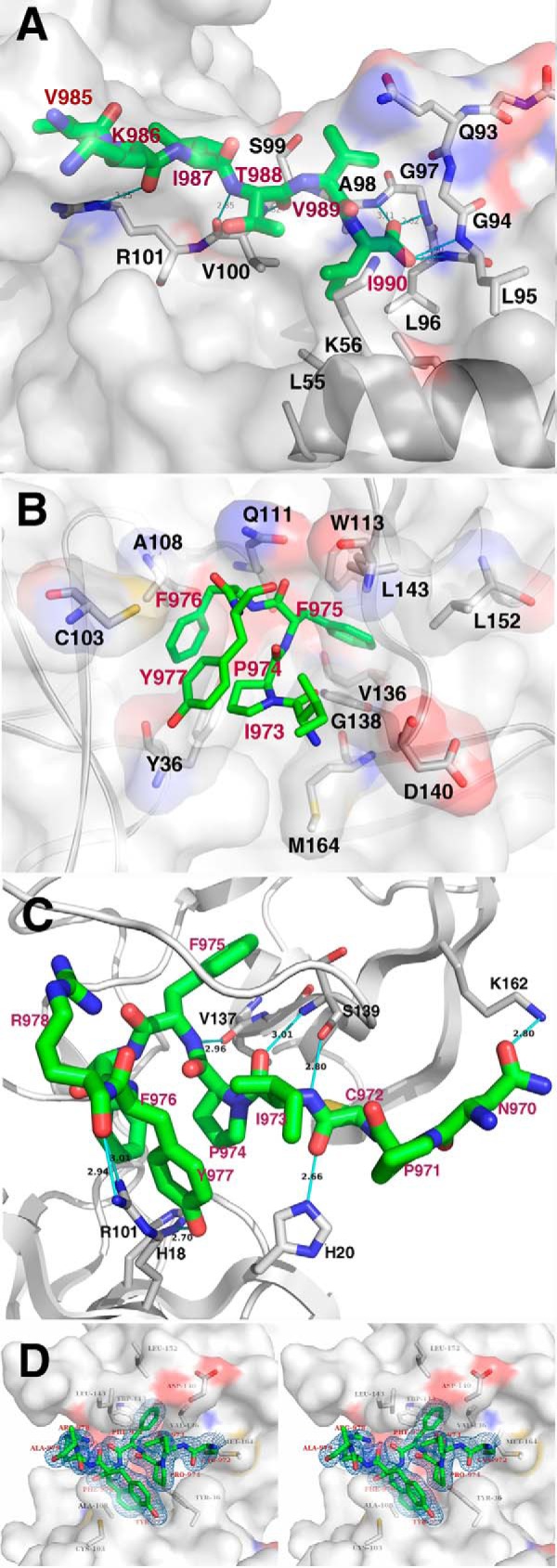 FIGURE 3.