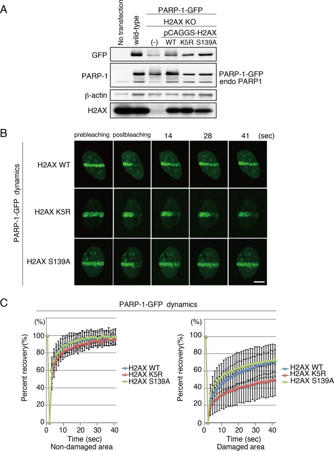 FIG 6