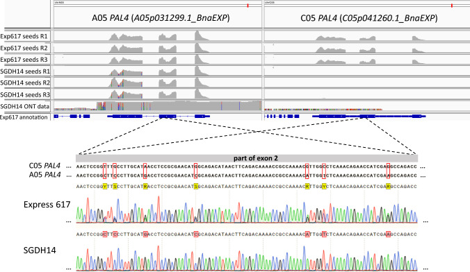 Fig. 4