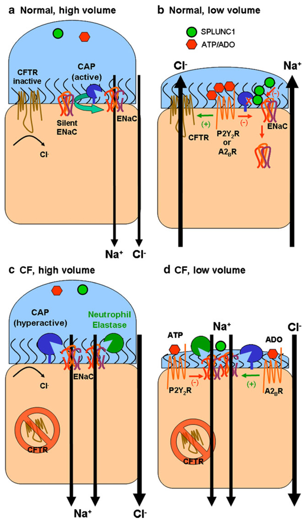 Fig. 4