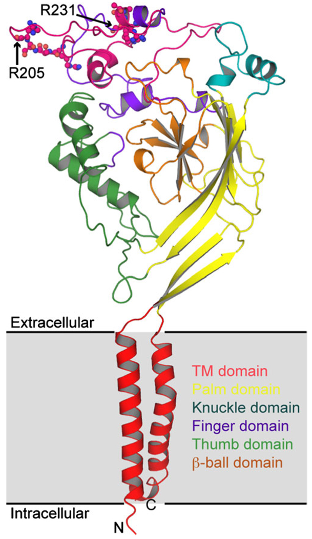 Fig. 1