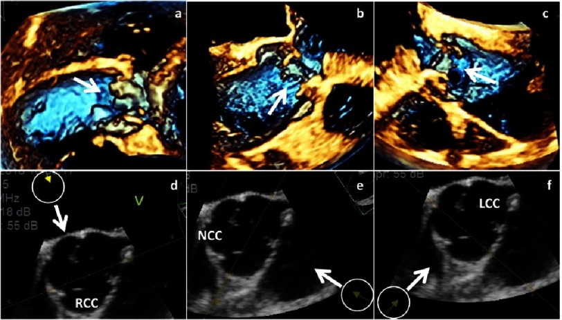 Figure 21.