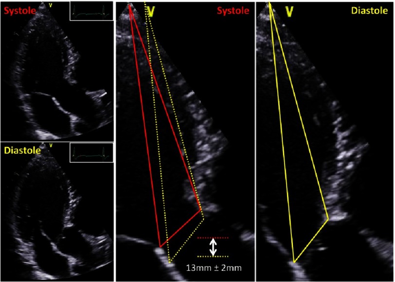 Figure 10.