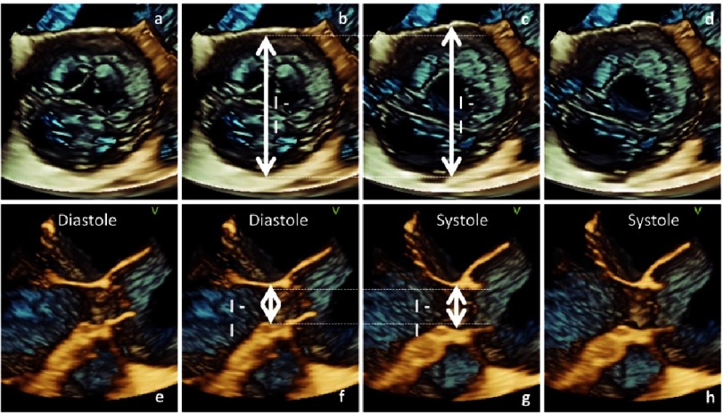 Figure 6.