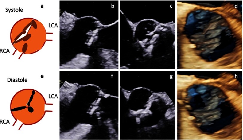 Figure 23.