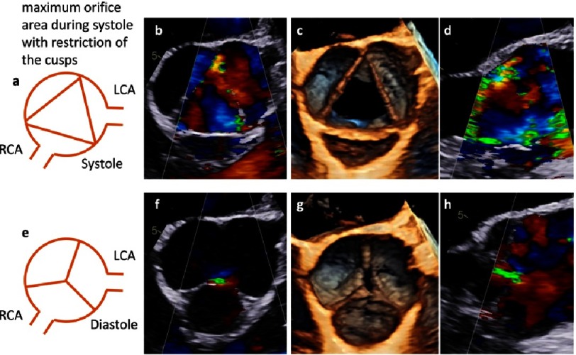 Figure 24.