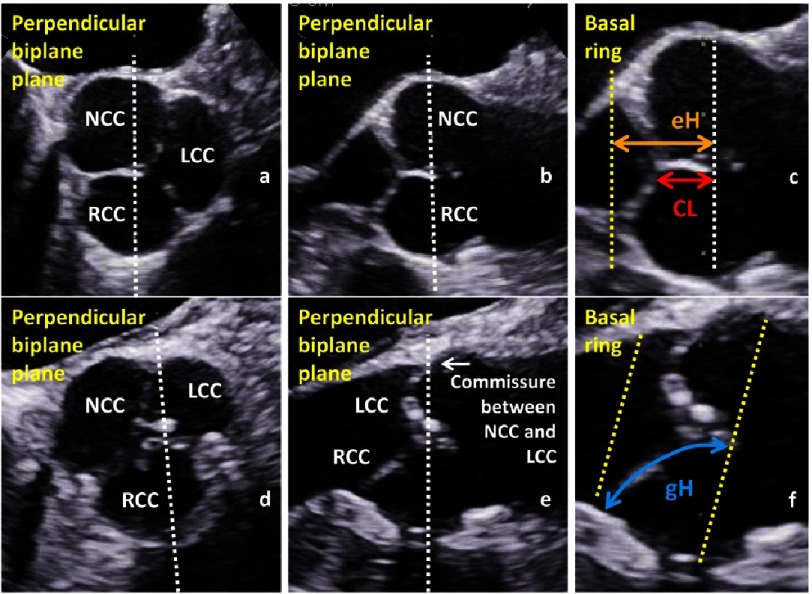 Figure 7.