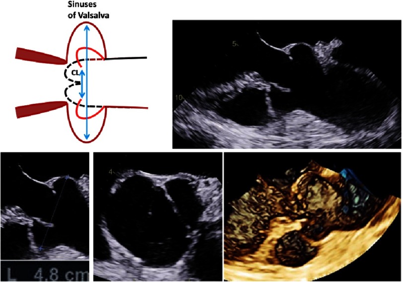 Figure 18.