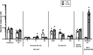 Figure 13