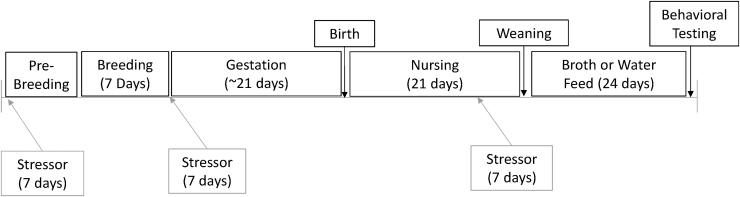 FIG. 1.