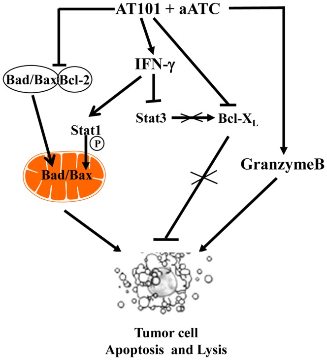 Figure 14