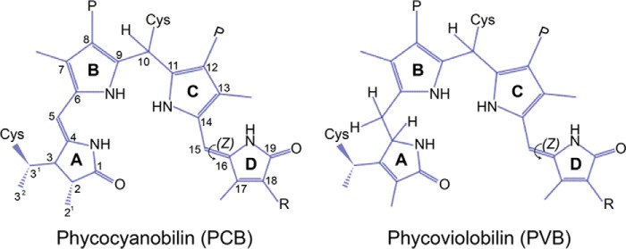 FIGURE 1.