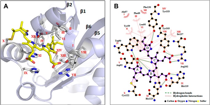 FIGURE 5.