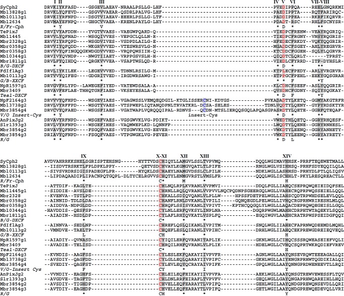 FIGURE 4.