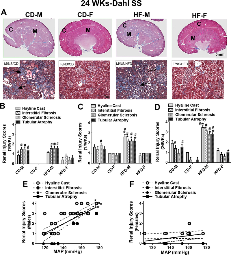 Fig 2: