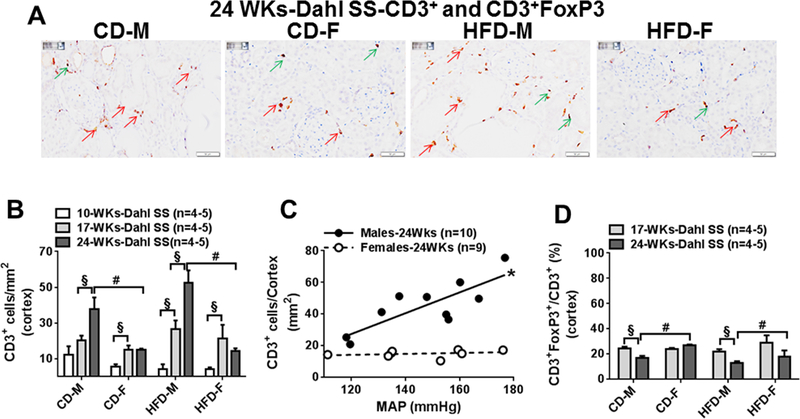 Fig 4: