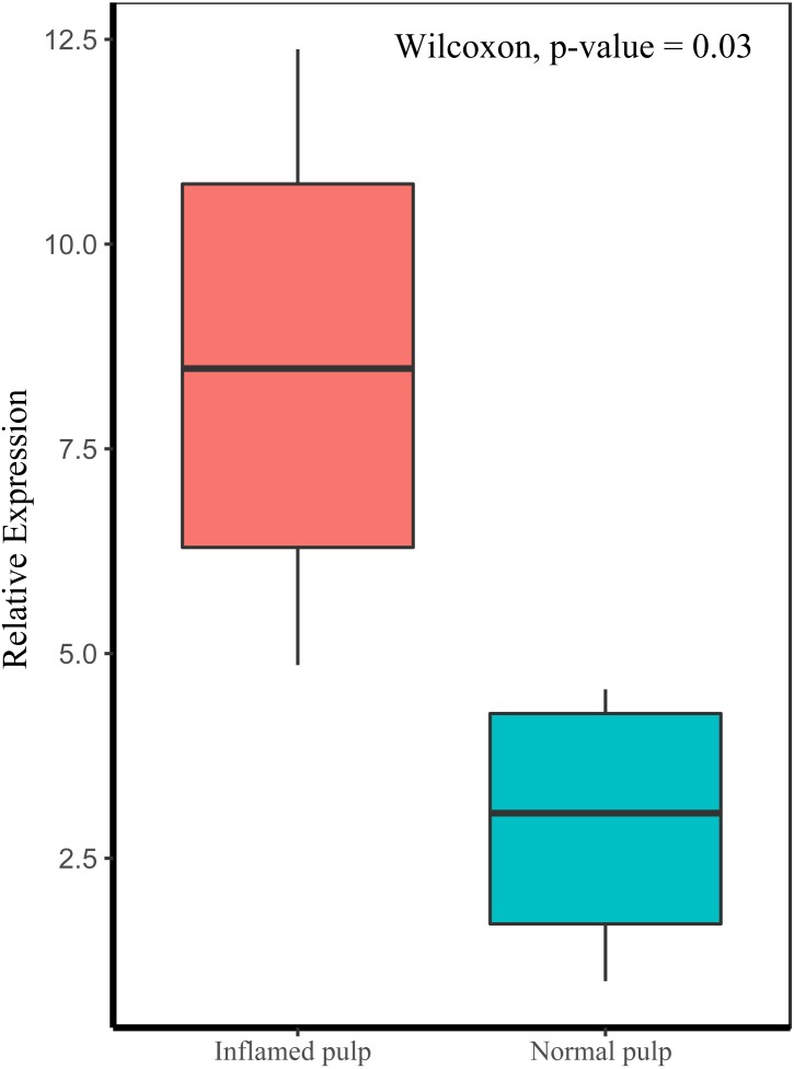 Figure 7