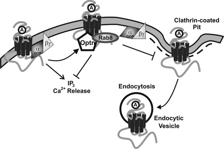 Figure 10.