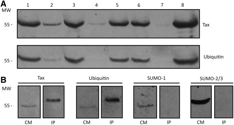 FIG. 3.