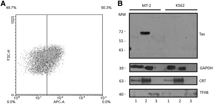 FIG. 1.