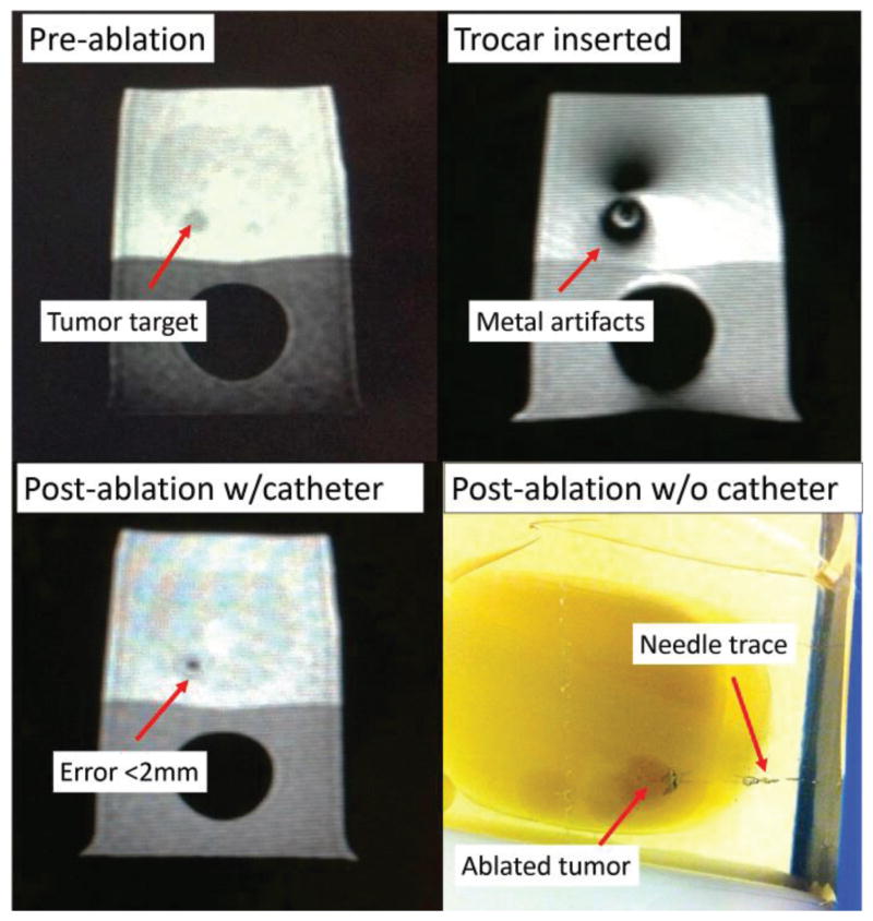 Fig. 10