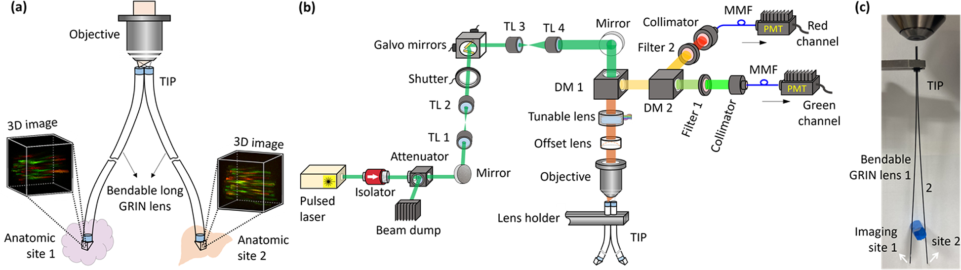 Fig. 1.